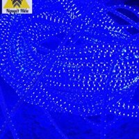 10m dây đèn led 220V trang trí ngoài trời