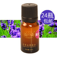 10ml Oải hương Massage Toàn thân Tinh dầu Massage Toàn thân Tinh dầu Massage SPA Tinh dầu [Rõ ràng hàng tồn kho] tinh dầu tràm trà