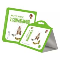 10PCS Attractant Moth Trap Pantry Kitchen Anti Moth Insect Killer Moth Trap Insect Baits & Traps