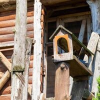 10x Homing Pigeon House Door Pigeon Nest Door Chỉ có cửa vào nhưng không vào cho thú cưng Nhà chim gia cầm lồng