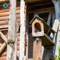 10x Homing Pigeon House Door Pigeon Nest Door Chỉ có cửa vào nhưng không vào cho thú cưng Nhà chim gia cầm lồng