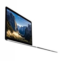 12-inch MacBook: 1.3GHz dual-core Intel Core i5, 512GB - Space Grey(MNYG2SA/A)