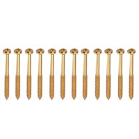 12 Pieces Bass Pickup Mounting Screws for PB JB  Pickups 2 Colors - Gold