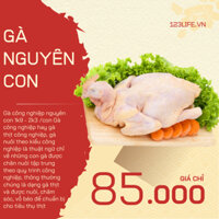 123lifevn Gà công nghiệp nguyên con Gà Thả Vườn nguyên con 1k9 - 2kg3 Vịt Nguyên Con 2kg+..