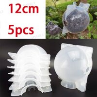 12cm Trái Cây Trong Suốt Cây Rễ Bóng Nhựa Hộp Gốc Hoa Ghép Trồng Cao Áp Giống VN6L3