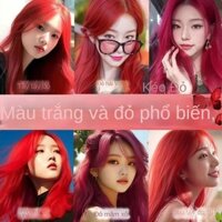 12HVận Chuyển Nhanh Thuốc Nhuộm Tóc Đỏ Haiwang Meila2024Màu Thời Trang Tự Nhuộm Mâm Xôi Hoa Hồng Đỏ Rượu Vang Đỏ Thuốc N