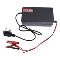 12V Car Charger