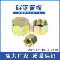 1.4 Thủy Lực Mét Bên Trong Ren Ống Nắp Cắm Ống Dầu Bên Trong Ren Cắm Nắp Nhồi Bông Đầu M14M16 Cắm Dầu Cắm Đai Ốc Nhồi Bông Nắp