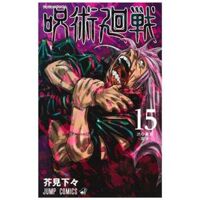 15 - Jujutsu Kaisen 15