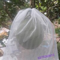 150 túi bọc trái cây lưới mùng 30x35