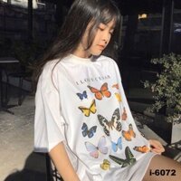 150k áo thun màu trắng in hình bướm