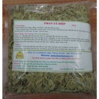 1,5kg diệp hạ châu