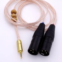 1.5Meter 2.5mm TRRS to 2 XLR Male Audio Adapter Cable for Astell&Kern AK100II,AK120II,AK240, AK380,AK320,DP-X1,DP-X1A,FIIO X5III,XDP-300R, iBasso D...