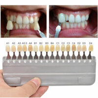 16 Cái / hộp Chất Liệu Nhựa Nha Khoa 16 Màu Thẩm Mỹ So sánh Tấm Màu Trước Và Sau Mỹ Phẩm Nha Khoa Màu Giá Trị So sánh Tấm Màu
