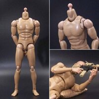 1/6 Scale Male Muscular Body V1-N Action Figure 12"Doll fit Phicen Hot Toys Head