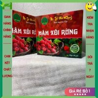 160 gói trà túi lọc mâm xôi rừng Bảo Khang, cây mâm xôi, giúp hết nám, tàn nhang, thoát vị đĩa đệm