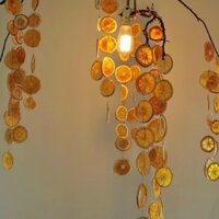 1.7000 Người Bộ Sưu Tập Khô Cam Lát Chuông Gió Tự Làm Chất Liệu Gói Cam Trái Cây Trang Trí Mặt Dây Chuyền Phòng Khách Trang Trí Bạn Gái Quà Tặng Sinh Nhật 319J