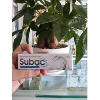170k tuýp 25g kem bôi su bạc