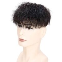18cm * 20cm Tóc Xoăn Nam Toupee Con Người Tóc Hệ Thống Thay Thế Tóc Toppers Tóc Giả Tóc Nam Kẹp Trong Phần Mở Rộng Tóc