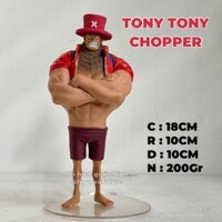 (18CM) Mô hình nhân vật Tony Tony Chopper cao 18cm - mô hình chopper dễ thương one piece - chopper hóa người