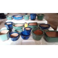 19 chậu bonsai mini cầm tay