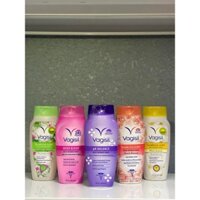[1987 GOODS] Dung Dịch Vệ Sinh Phụ Nữ Vagisil 354ml ( 6 mùi )