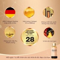 1Hộp Collagen Adiva Gold - Combo 2 hộp-combo 3 hộp