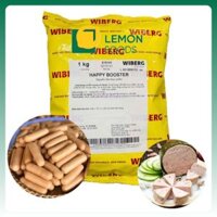 1Kg Bột tăng cường vị đậm đà HAPPY BOOSTER - Chuyên dùng cho xúc xích, lạp xưởng, chả lụa