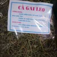 1kg cà gai leo