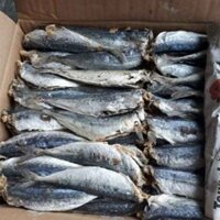 1Kg Cá Nục Khô Loại To Ngon