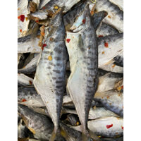1Kg Cá Thu khô size vừa tẩm ớt cay