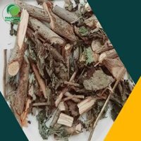 1kg Cây An Xoa Giá Bao Nhiêu? Báo Giá Mới Nhất 2024