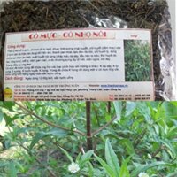 1kg Cây nhọ nồi - Cây cỏ mực