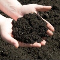 1kg đất sạch trồng cây siêu dưỡng