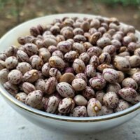 1kg ĐẬU CÚC/ ĐẬU LẠP XƯỞNG