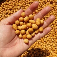 1Kg Đậu Phộng Da Cá Cốt Dừa