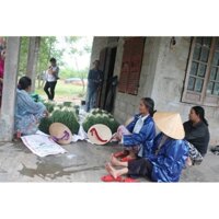 1kg HÀNH TĂM/ CỦ NÉN ( cây xanh ngọc lan 47)