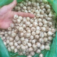 1kg Hành tăm (Củ nén)