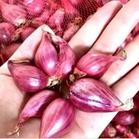 1KG hành tím lý sơn thơm ngon phù hợp mọi món ăn