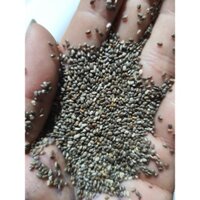 1Kg Hạt Chia Hữu Cơ tốt cho sức khỏe - Thành phần dinh dưỡng cao