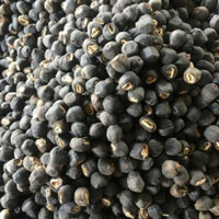 1KG HẠT CHUỐI HỘT RỪNG CÔ ĐƠN