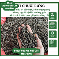 1kg Hạt chuối hột rừng ngâm rượu, sắc nước uống