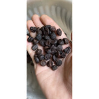 1kg Hạt dổi khô vàng đen Tây bắc