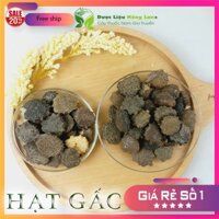 1kg Hạt Gấc khô nguyên chất - Trà Thảo Mộc Shop