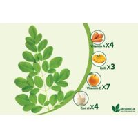 1KG Hạt Giống Cây Chùm Ngây (| Z3*V32)