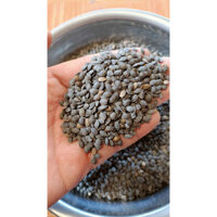 1kg hạt giống chanh dây quả vàng (nảy màm cao hạt tuyển )