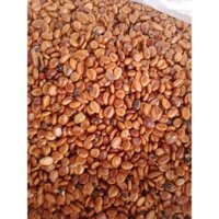 1kg Hạt giống muồng hoàng yến