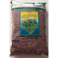 1kg Hạt giống ngò rí hạt lớn, rau mùi ta thơm Trang Nông