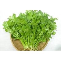 1kg Hạt giống rau mùi (ngò bể) MT năng suất cao