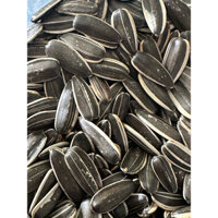 1kg HẠT HƯỚNG DƯƠNG RANG TAY